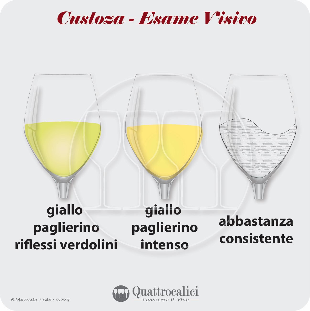 L'esame visivo dei vini Custoza