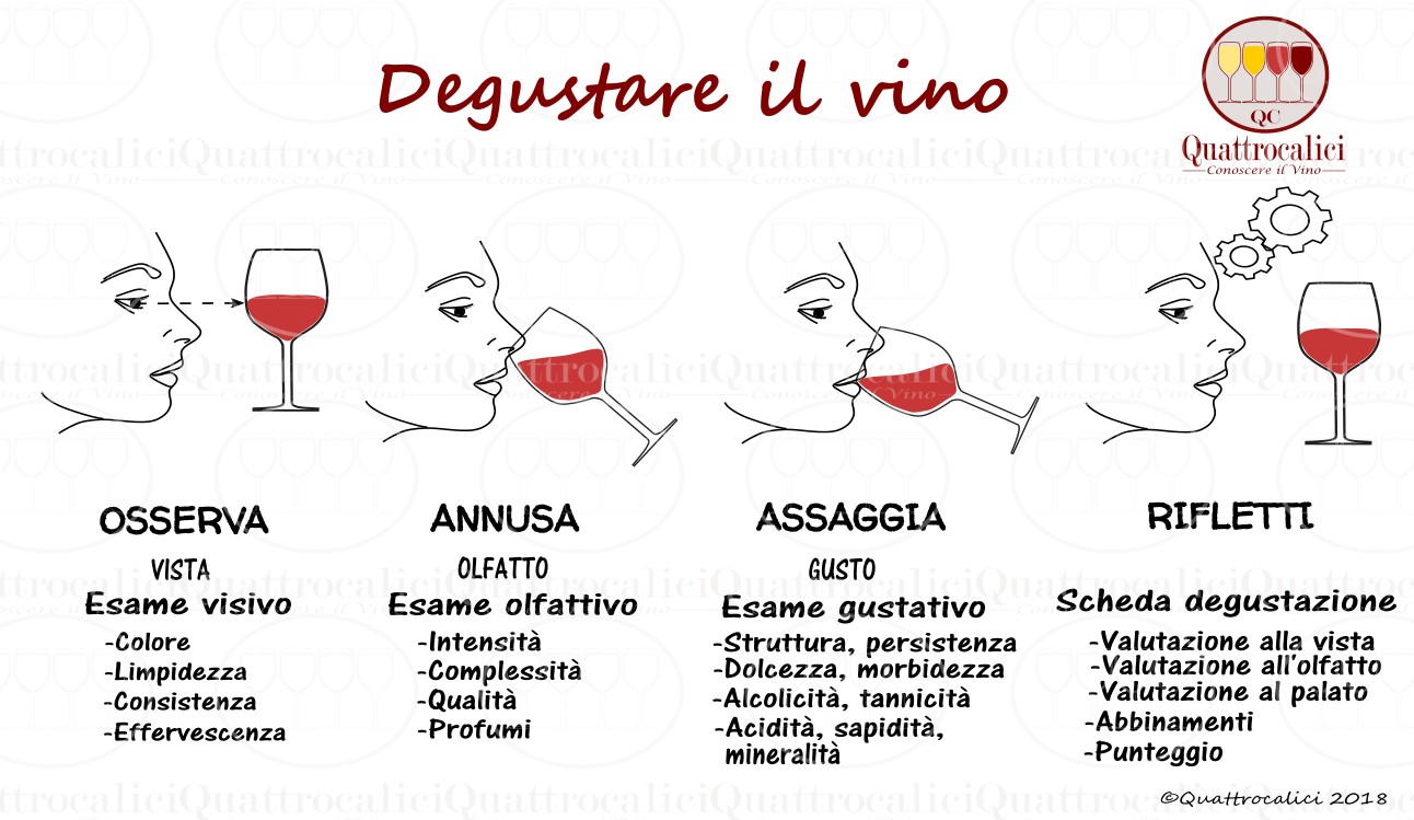 degustazione vino