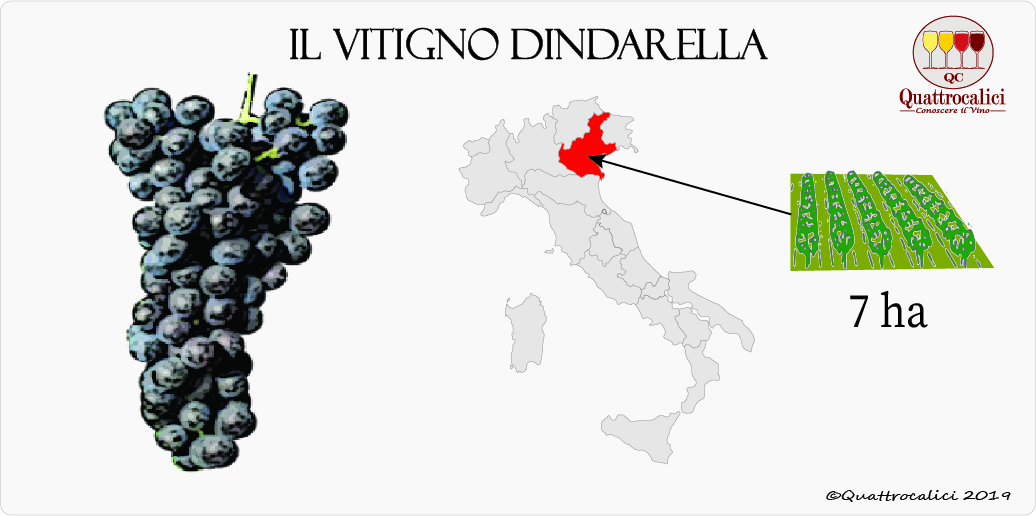vitigno dindarella