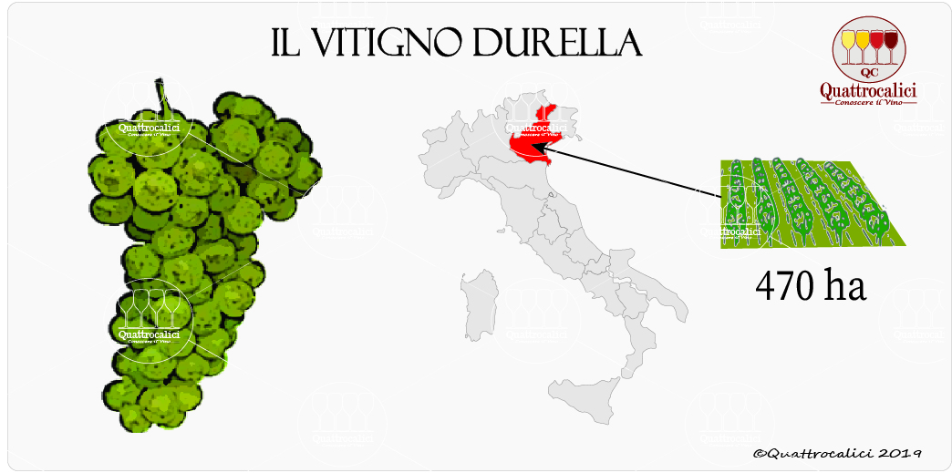 vitigno durella
