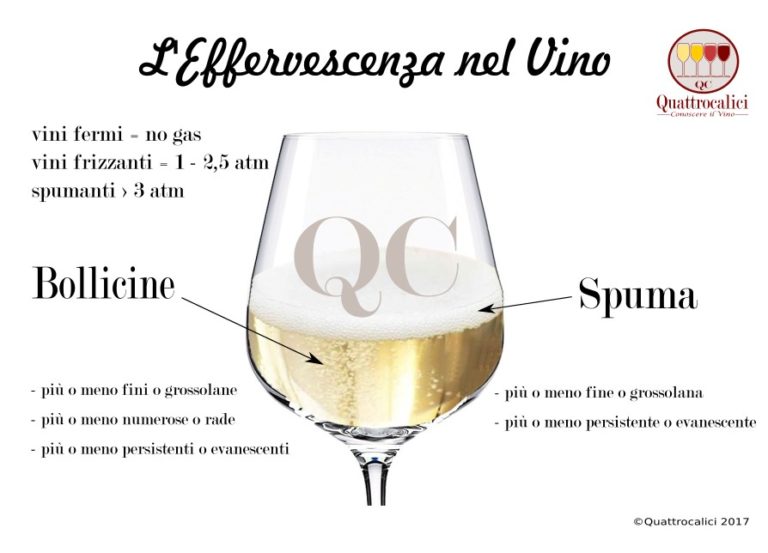 Perlage, effervescenza e bollicine nel vino