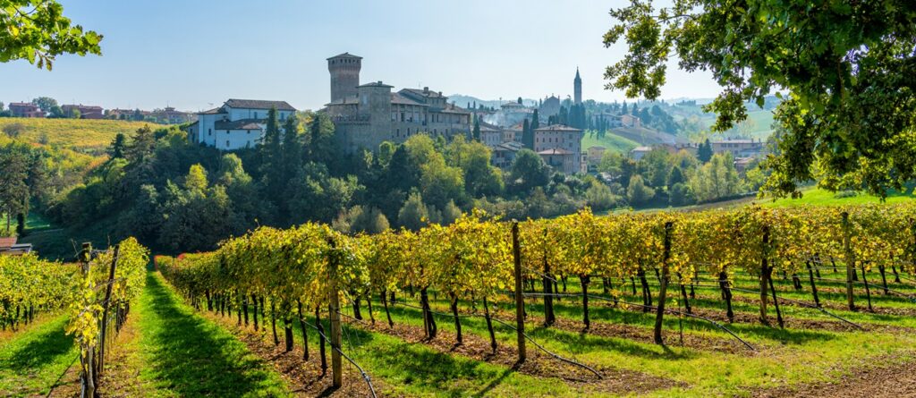 Il vino in Emilia-Romagna