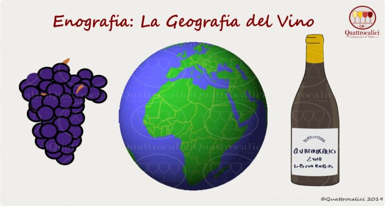 enografia e la geografia del vino