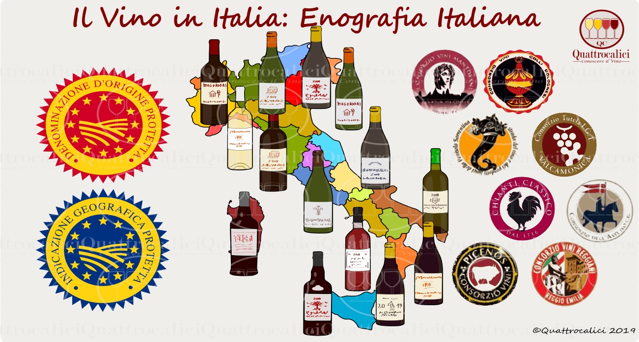 Enografia Italiana: Il Vino in Italia