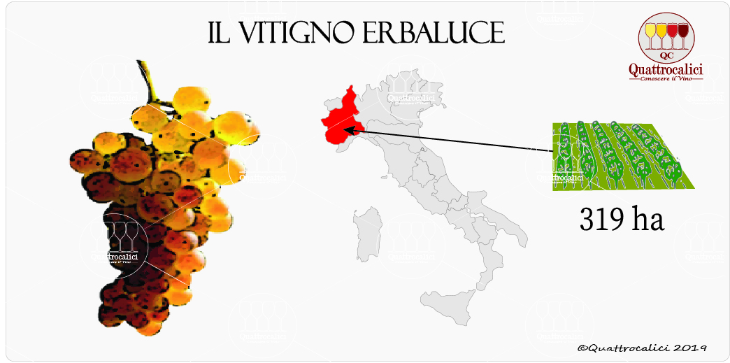 vitigno erbaluce