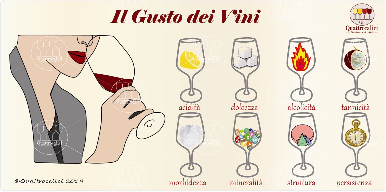 esame gustativo e gusto del vino