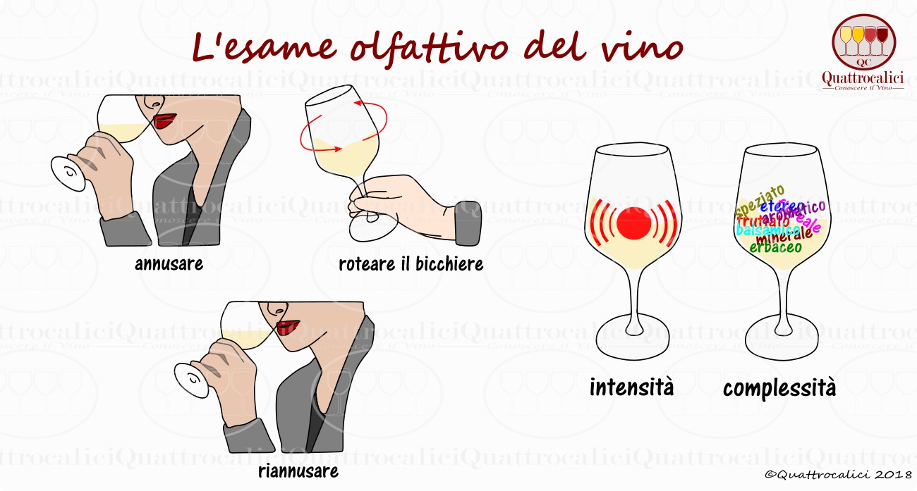 esame olfattivo del vino