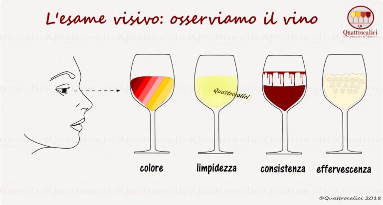 esame visivo del vino