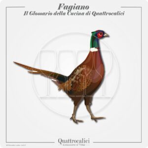 Fagiano