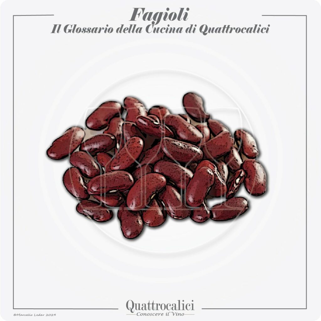I fagioli in cucina e con i vini