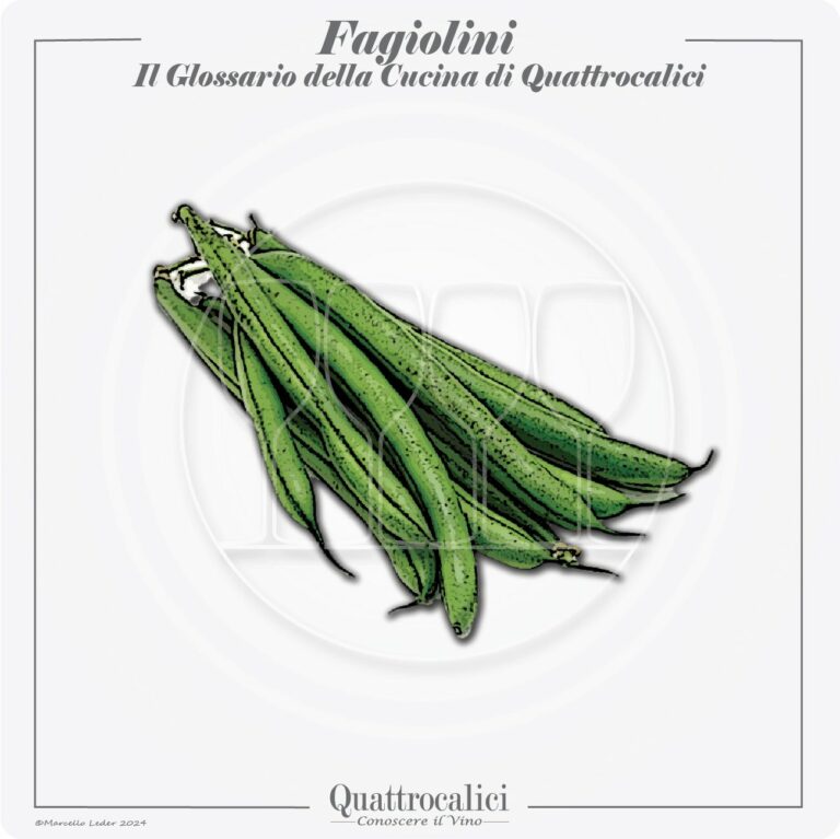 I fagiolini in cucina e con i vini