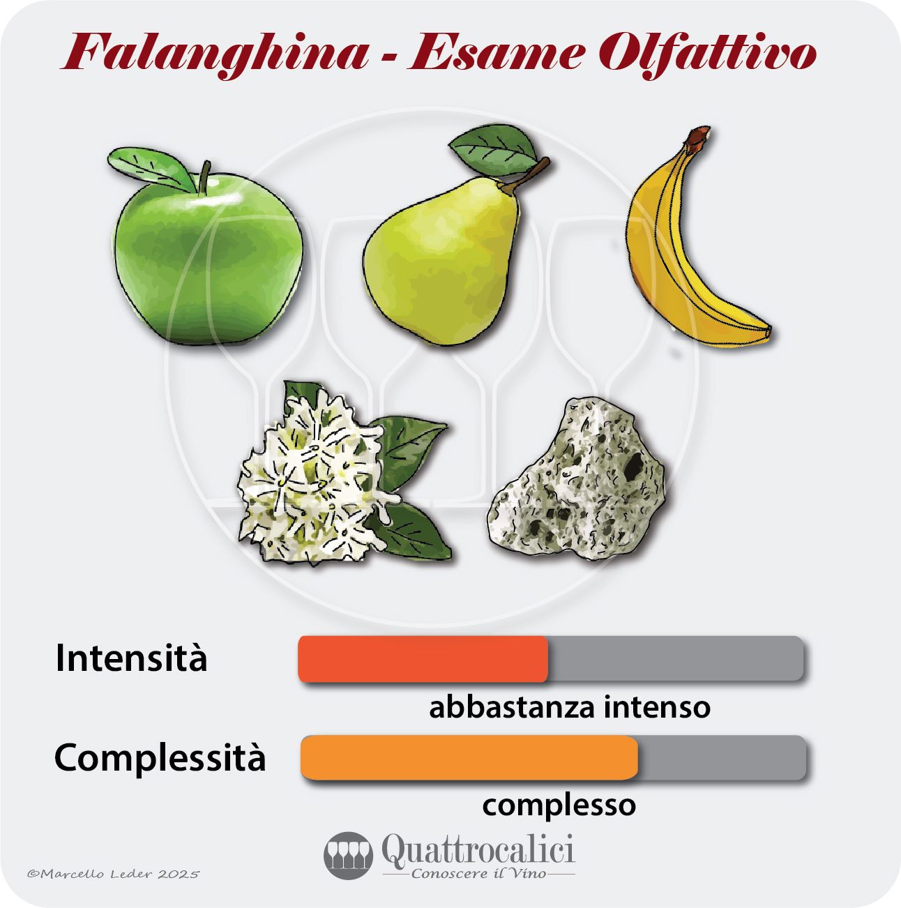 L'esame olfattivo dei vini Falanghina