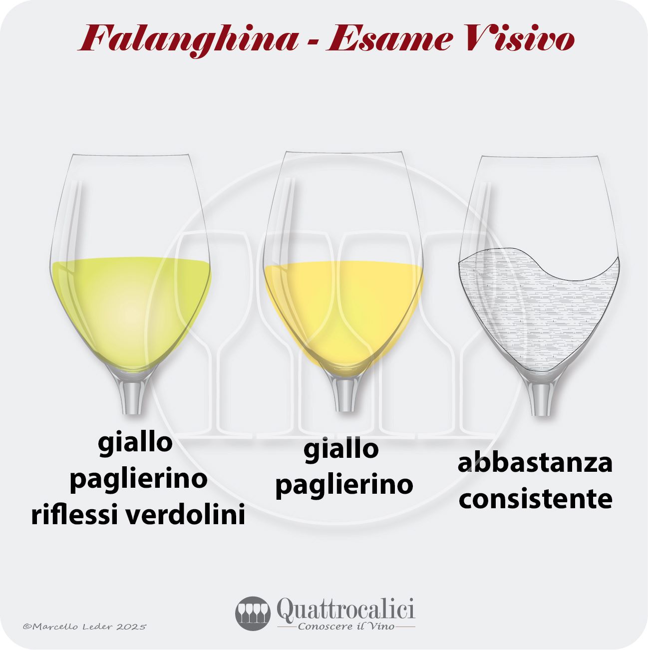 L'esame visivo dei vini Falanghina
