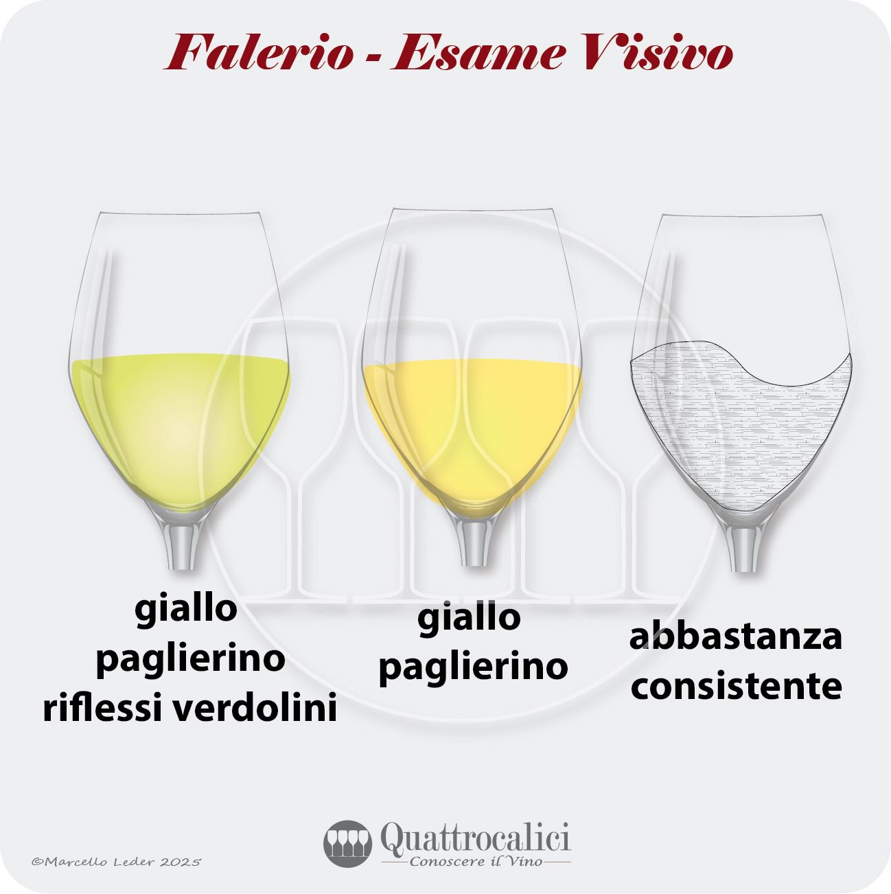 L'esame visivo dei vini Falerio