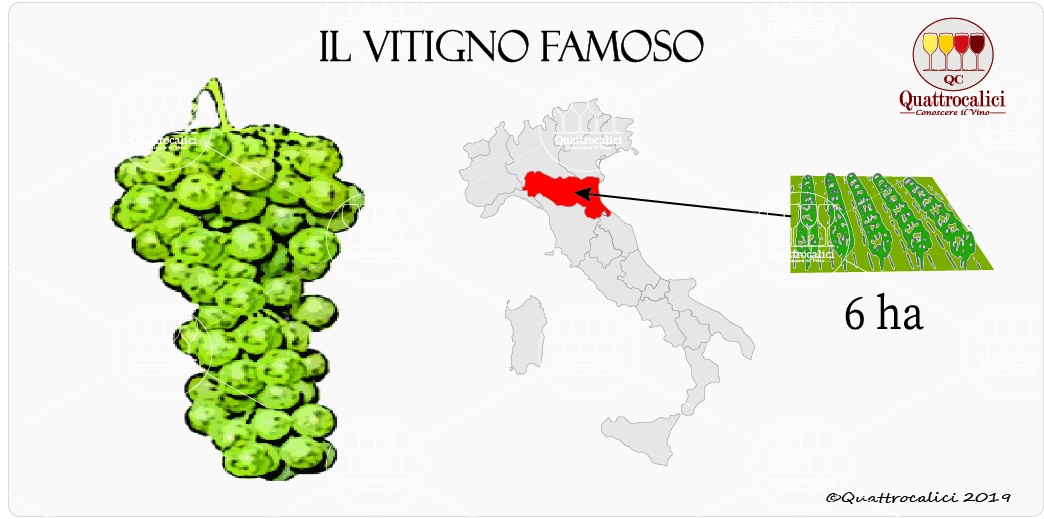 vitigno famoso