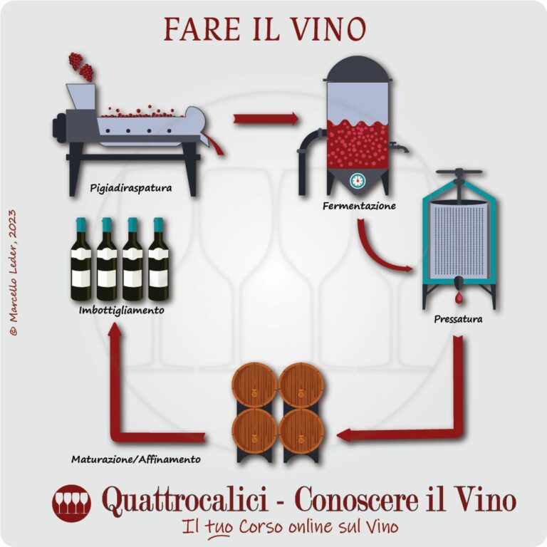 fare il vino