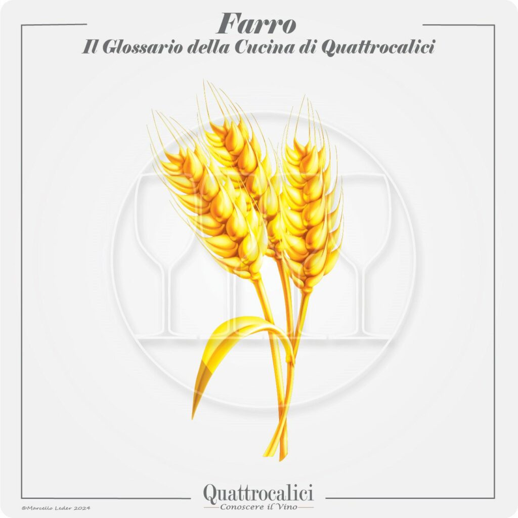 Il farro in cucina e con il vino