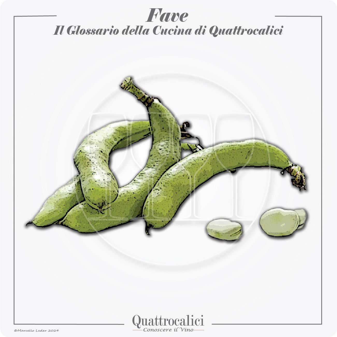 le fave in cucina e con i vini