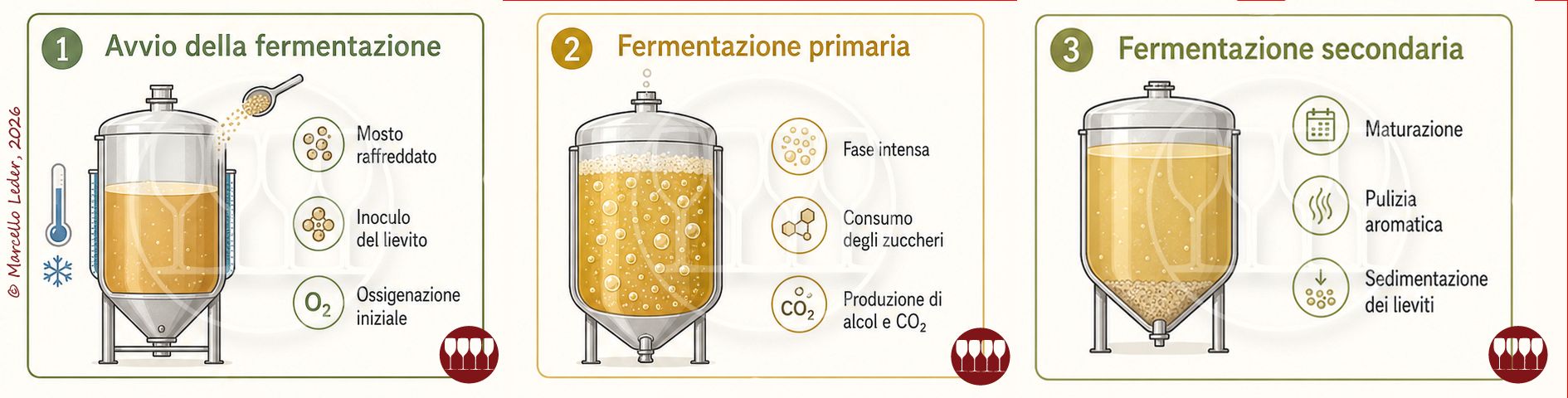 La fermentazione nella produzione della birra