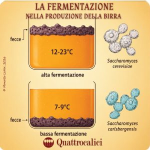 La fermentazione nella produzione della birra