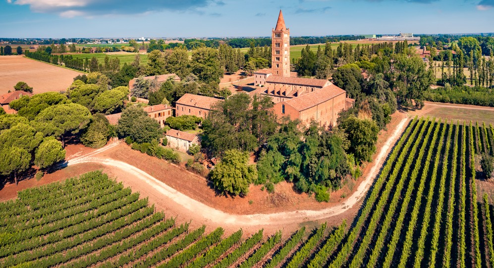 provincia ferrara vino