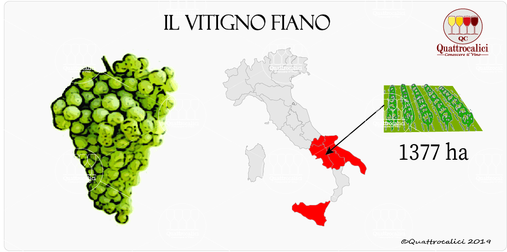 vitigno fiano