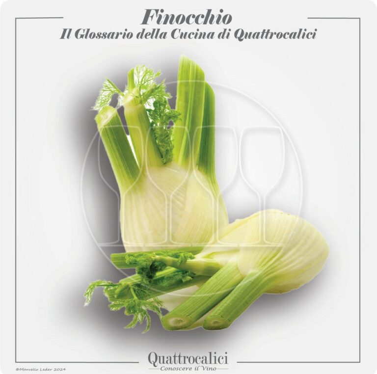 il finocchio in cucina e con i vini