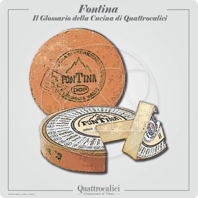la fontina in cucina e i vini in abbinamento