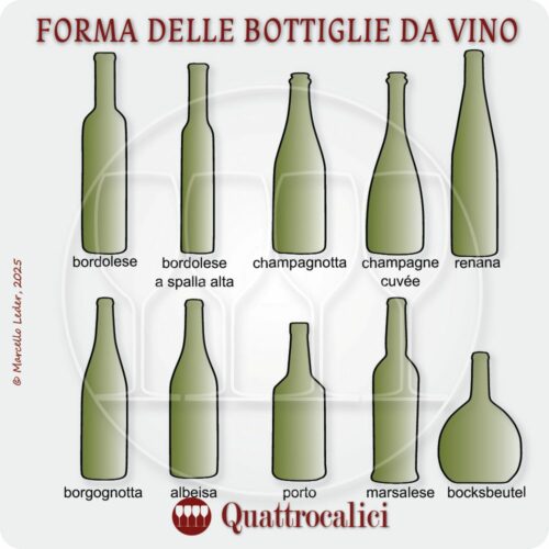 La forma delle bottiglie da vino