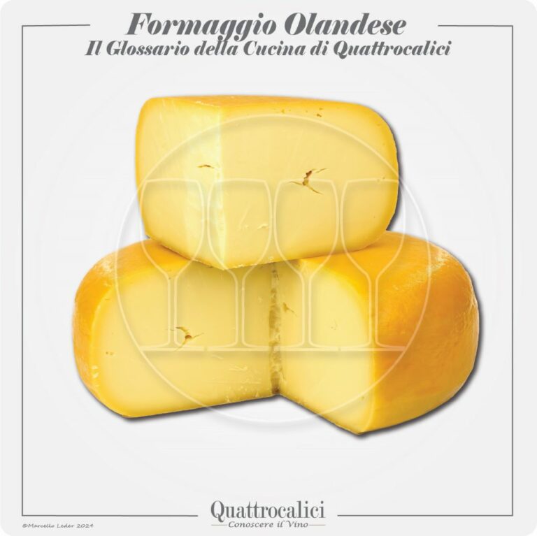 I formaggi olandesi in cucina