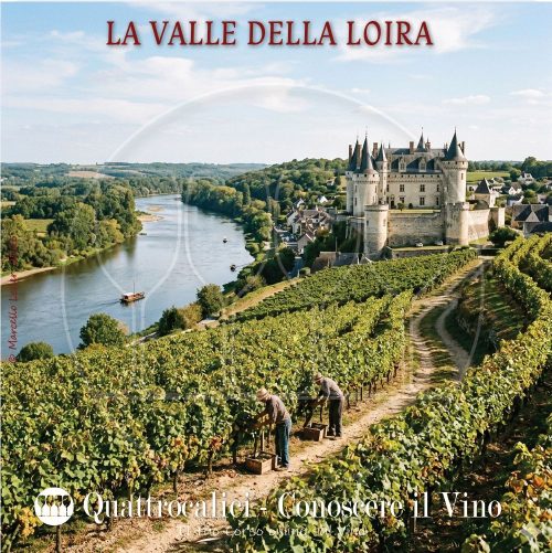 Viticoltura e vini della valle della loira