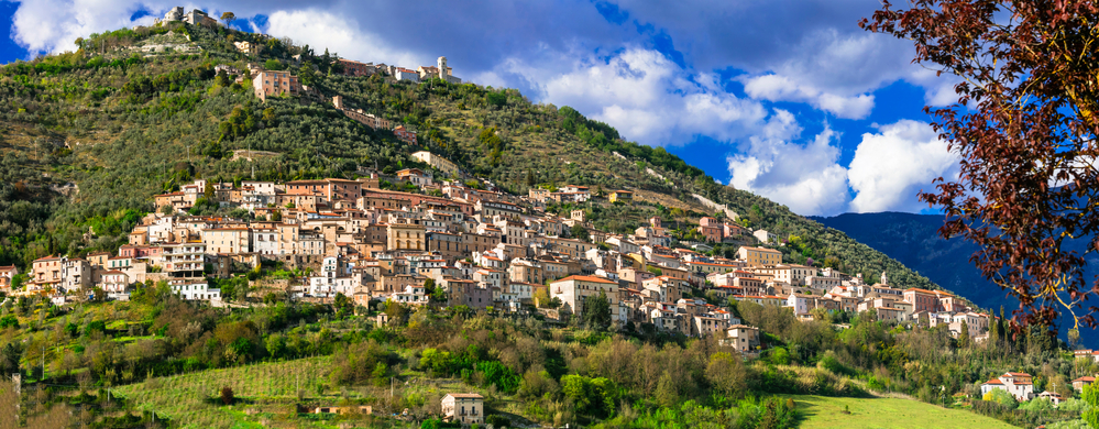 provincia frosinone vino