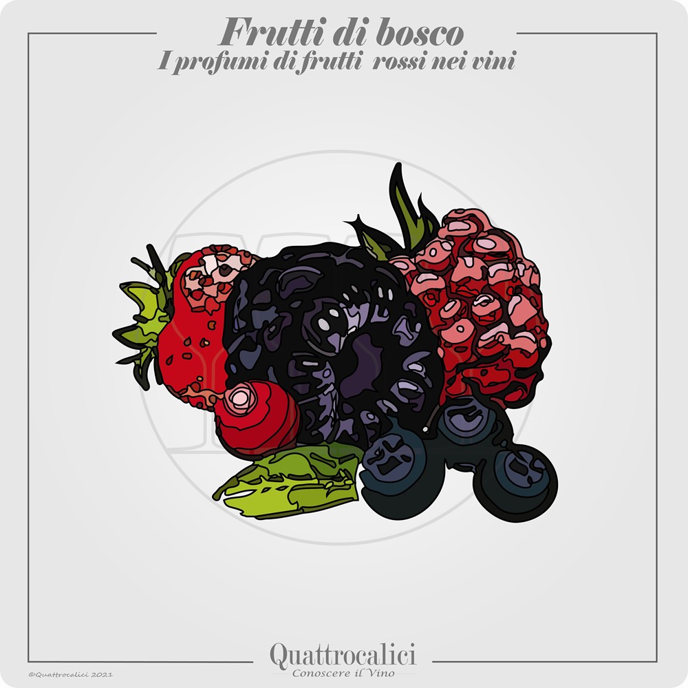 Il profumo di frutti di bosco nei vini