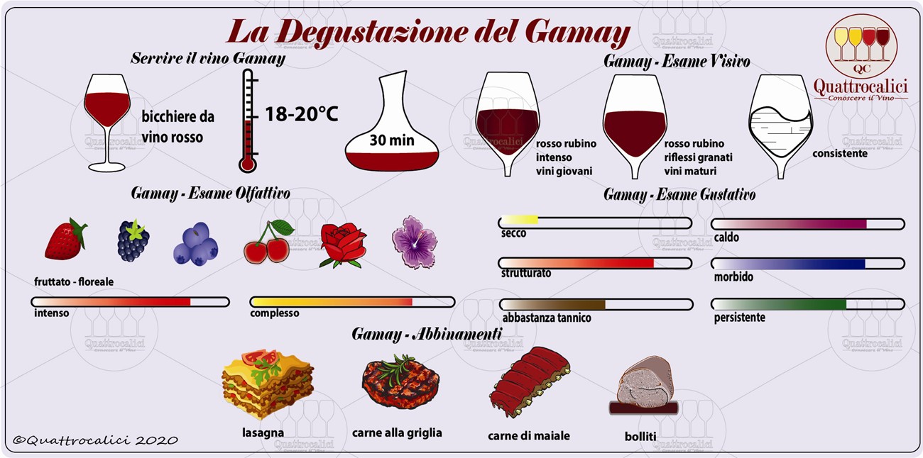 degustazione gamay