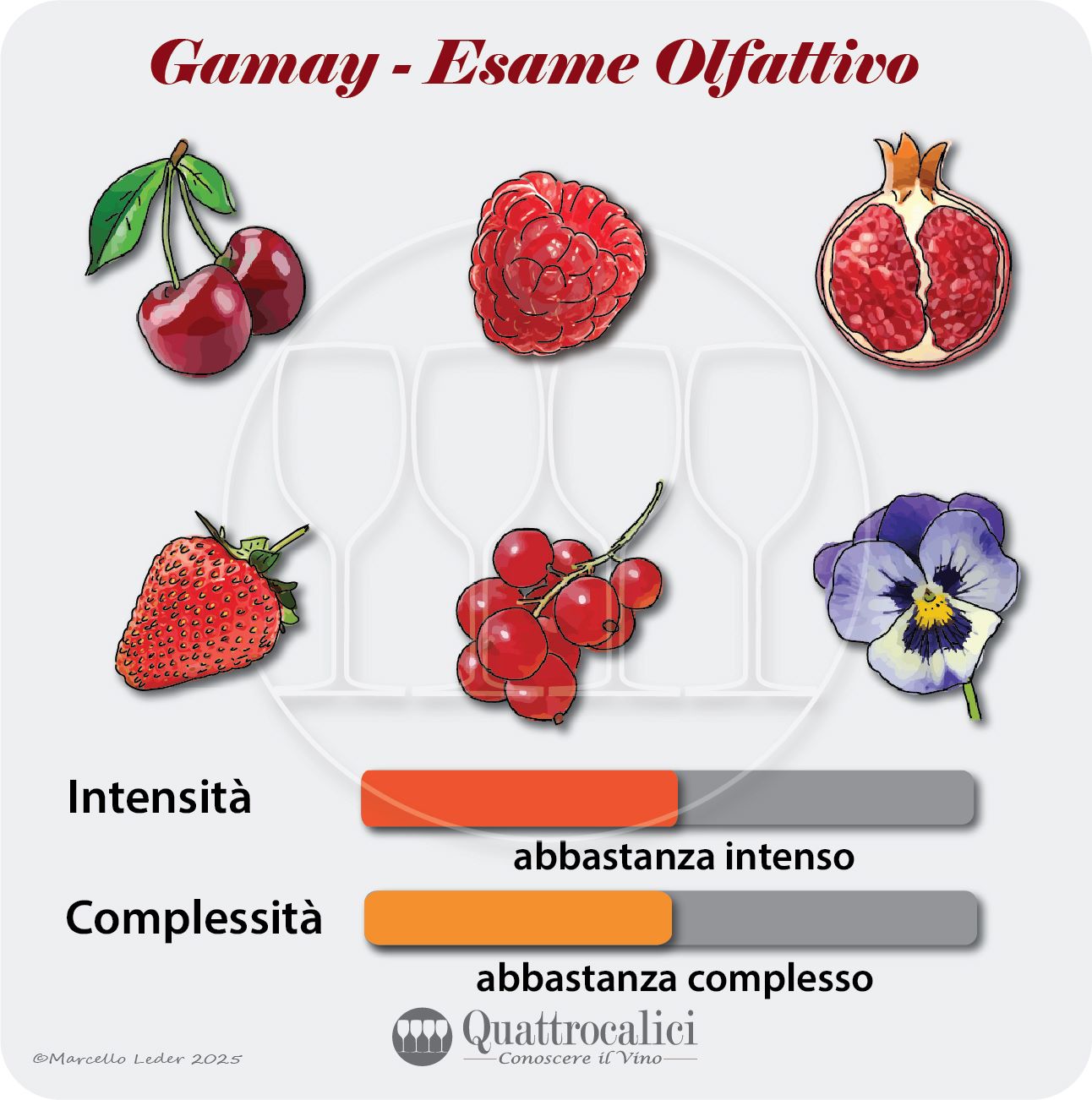 L'esame olfattivo dei vini Gamay