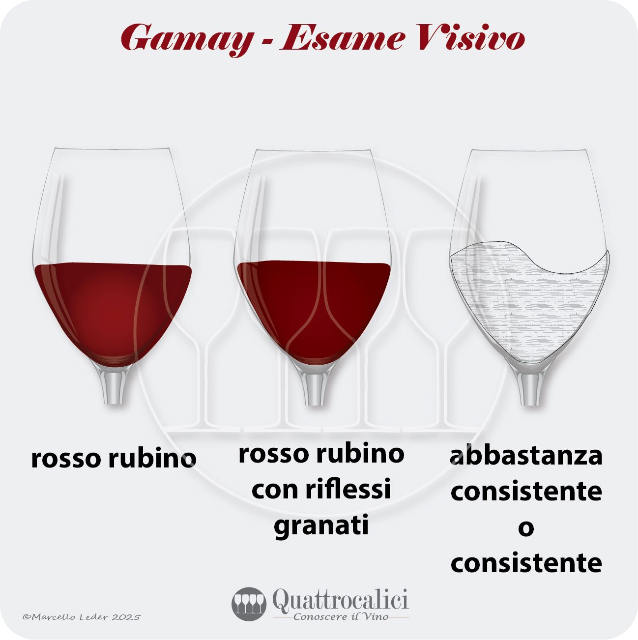 L'esame visivo dei vini Gamay
