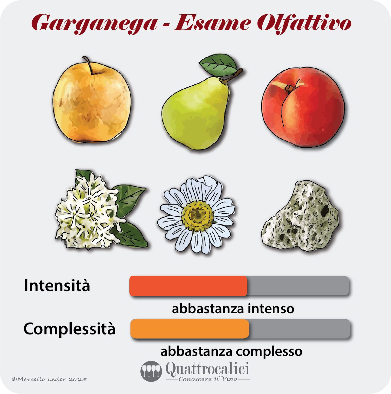 L'esame olfattivo dei vini Garganega