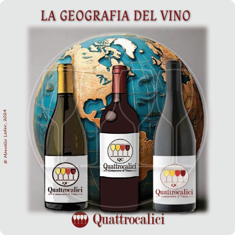 Enografia, la Geografia del Vino