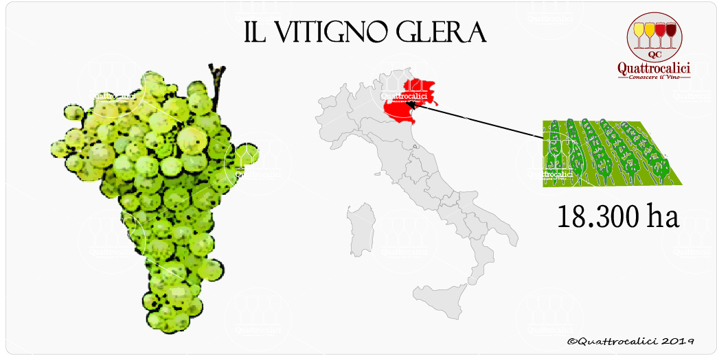 vitigno glera