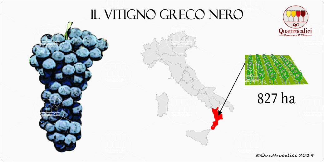 vitigno greco nero