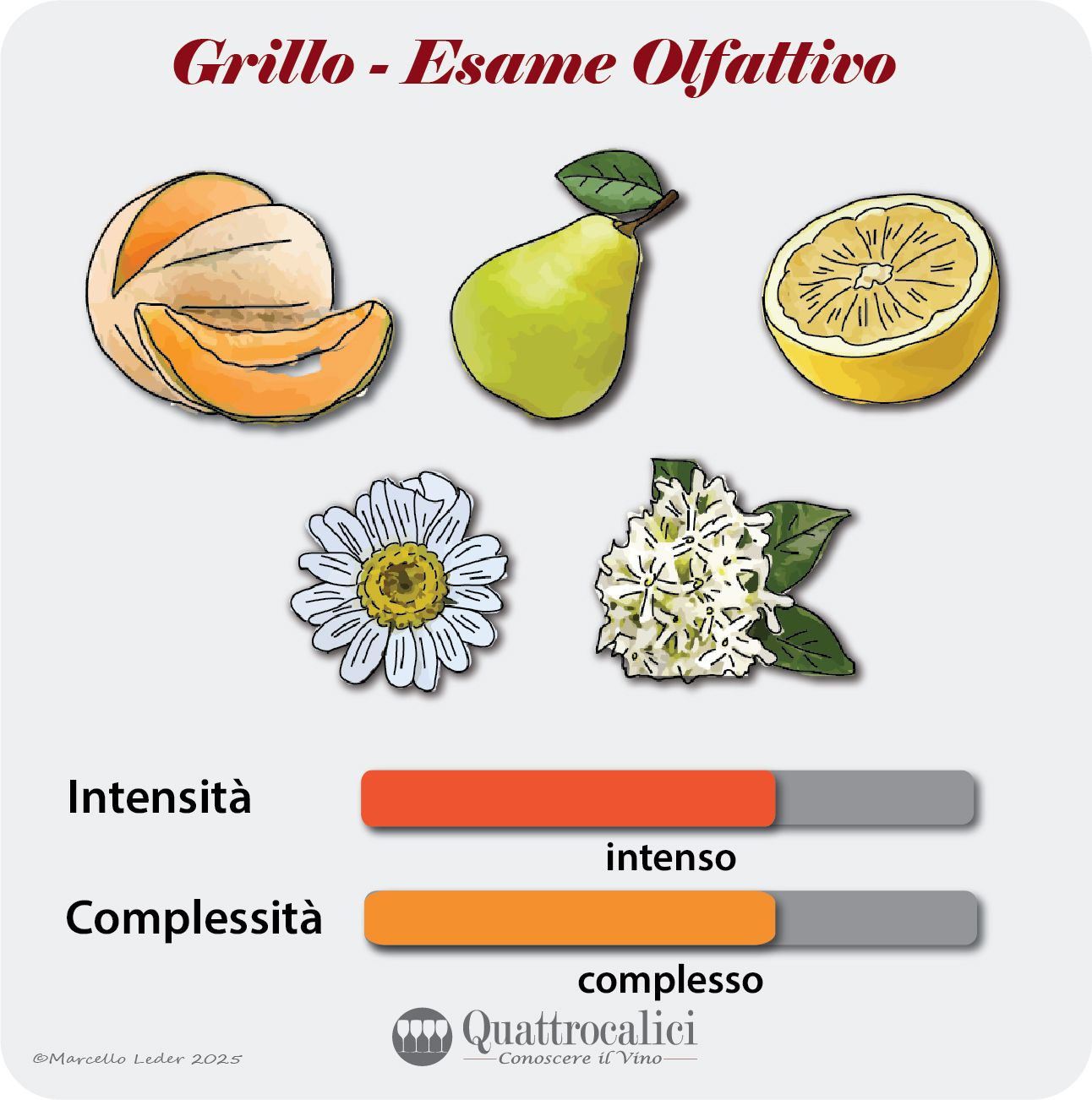 L'esame olfattivo dei vini Grillo