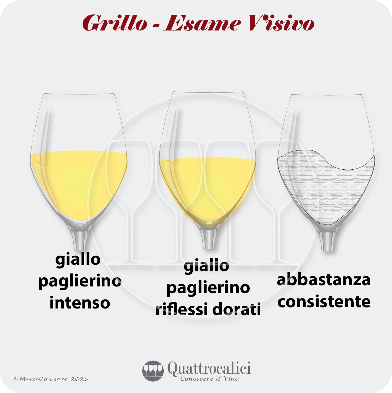 L'esame visivo dei vini Grillo