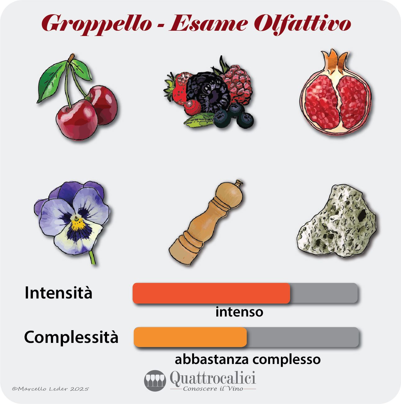 L'esame olfattivo dei vini Groppello