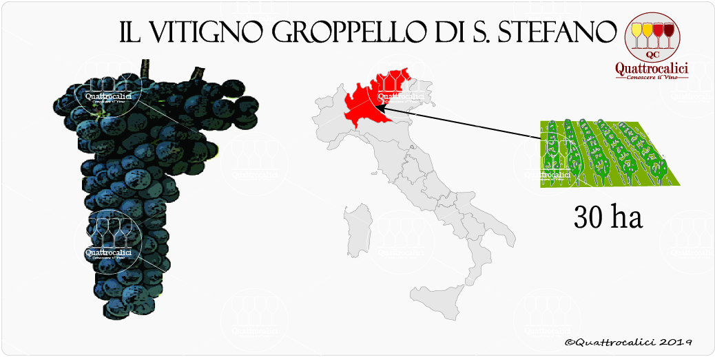 vitigno groppello di santo stefano
