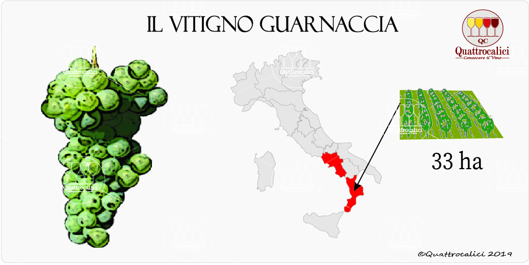vitigno guarnaccia