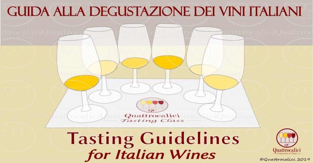 guida alla degustazione dei vini italiani