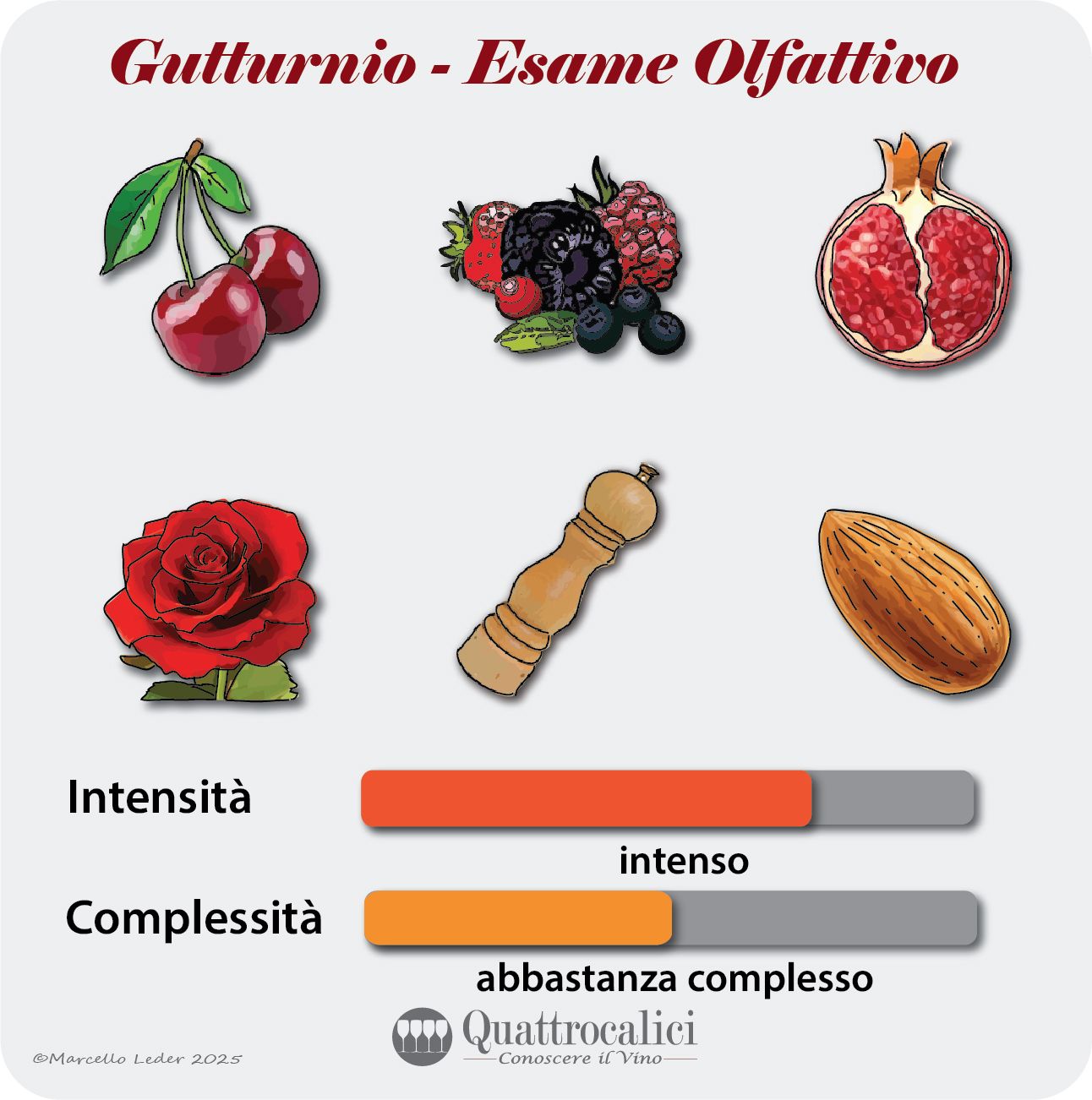 L'esame visivo dei vini Gutturnio