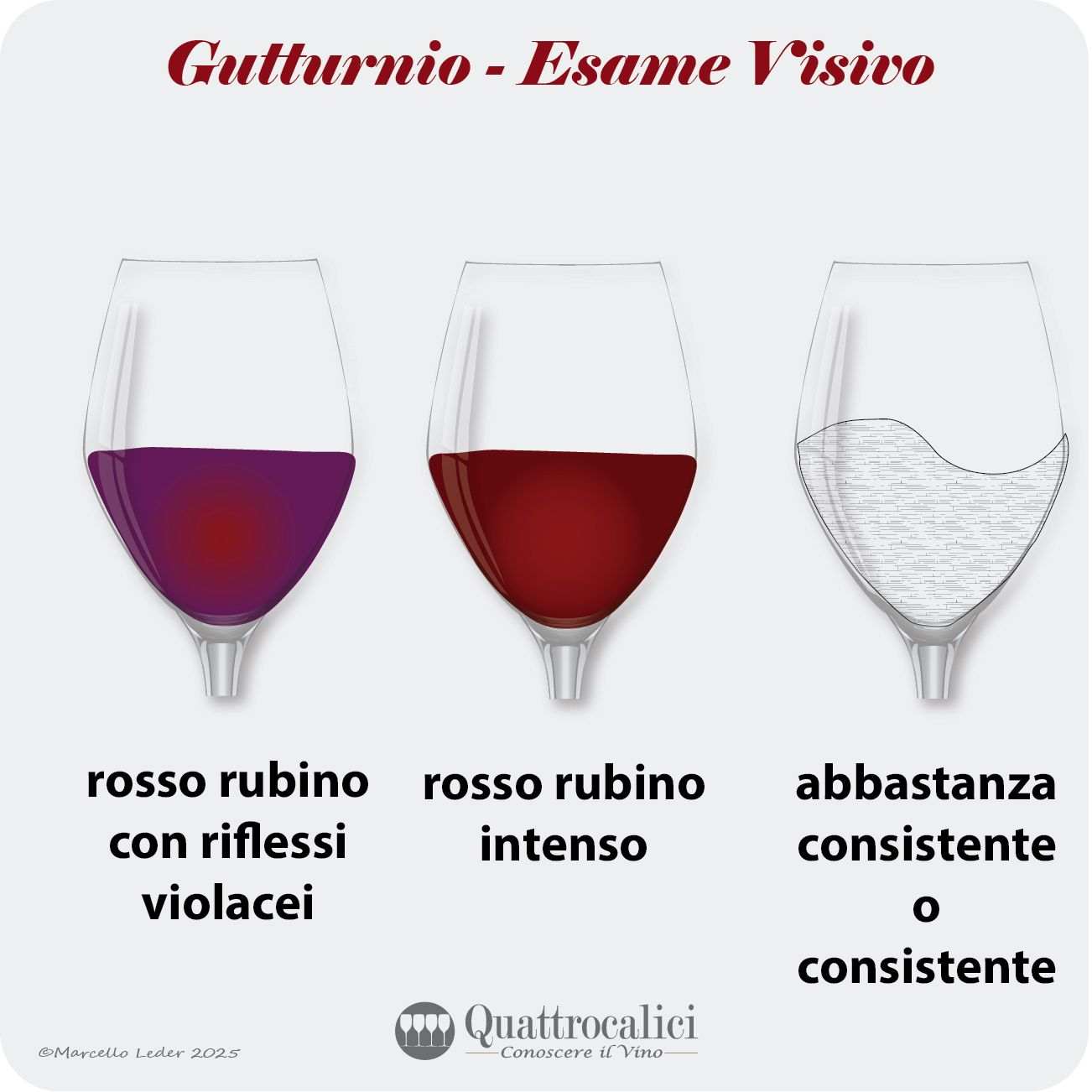 L'esame visivo dei vini Gutturnio