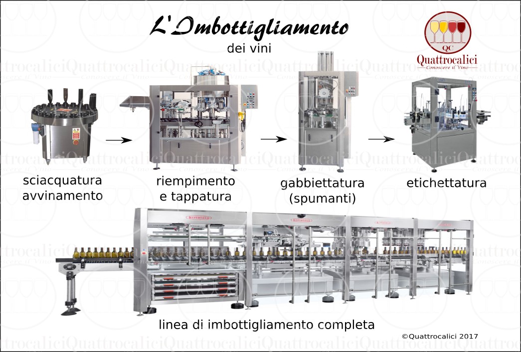 Imbottigliamento del vino - Quattrocalici