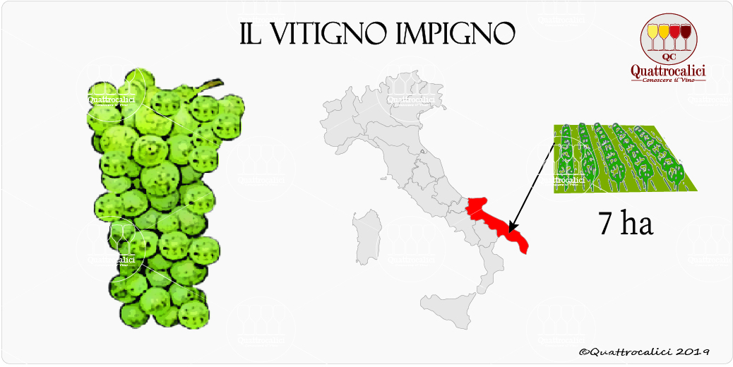 vitigno impigno